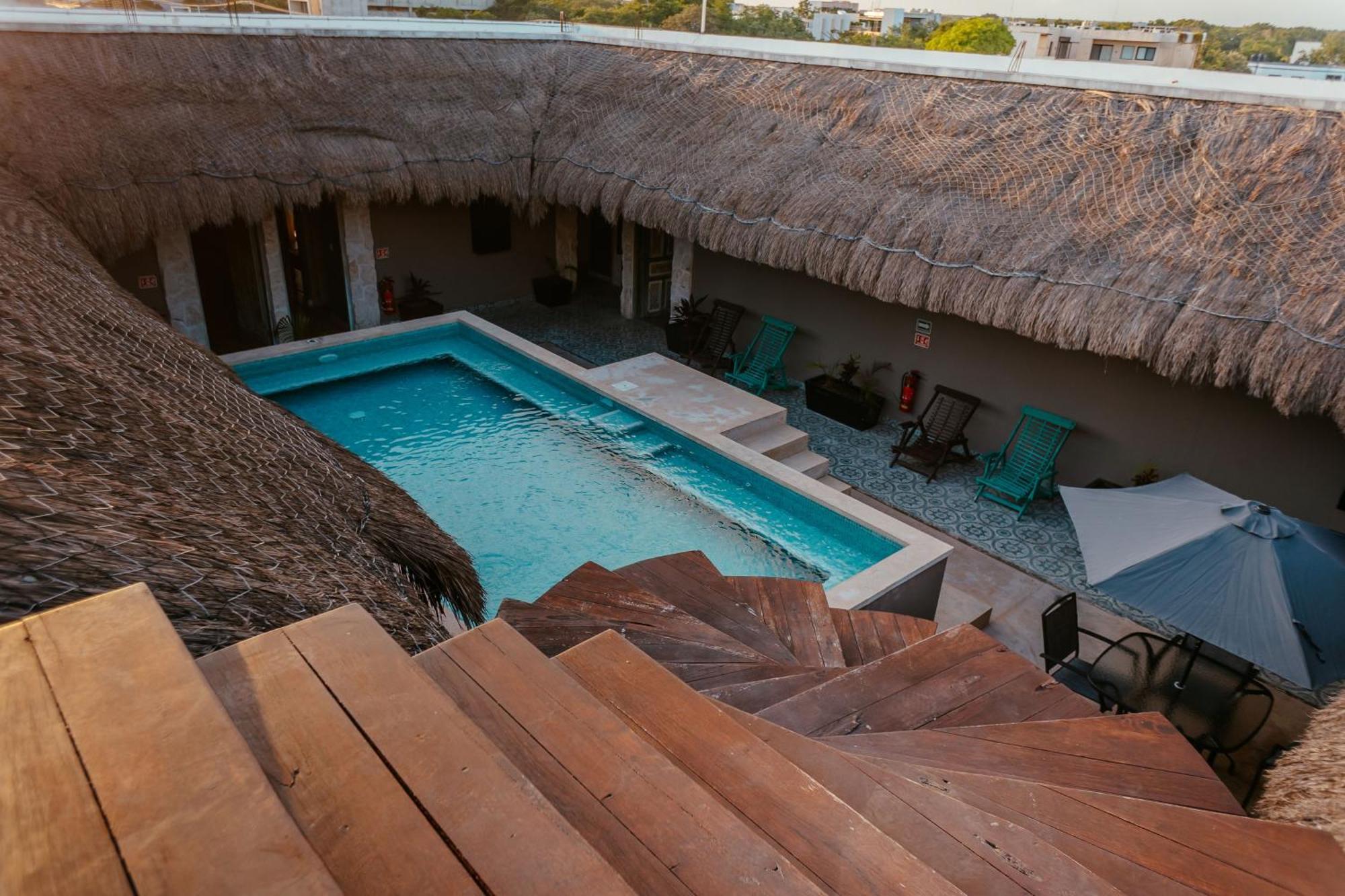 Apartment Cielito 1