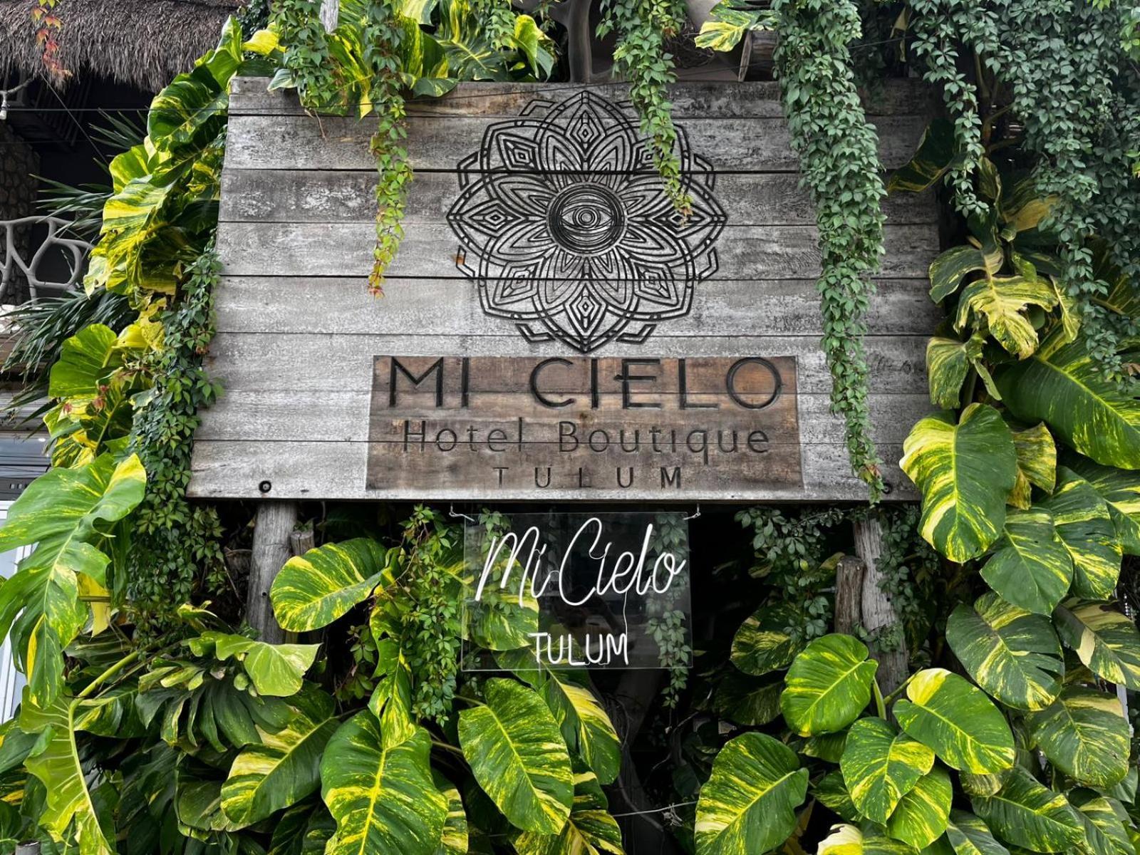 Apartment Cielito 1
